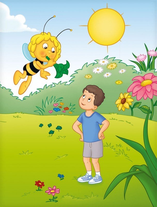 Personalisiertes Kinderbuch - Biene Maja und Du